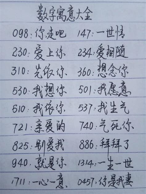 数字1代表什么